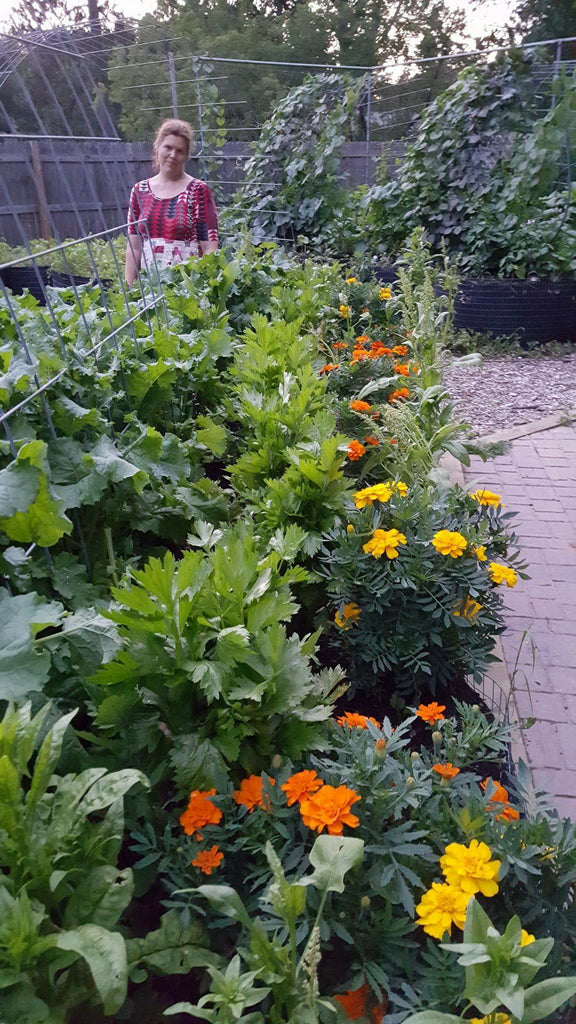 Tip of the Week- Marigolds for Pest Control