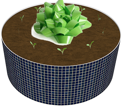 Garden Bed to Donate
